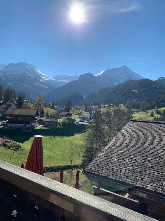 Hotel Wildhorn Gstaad Exteriér fotografie